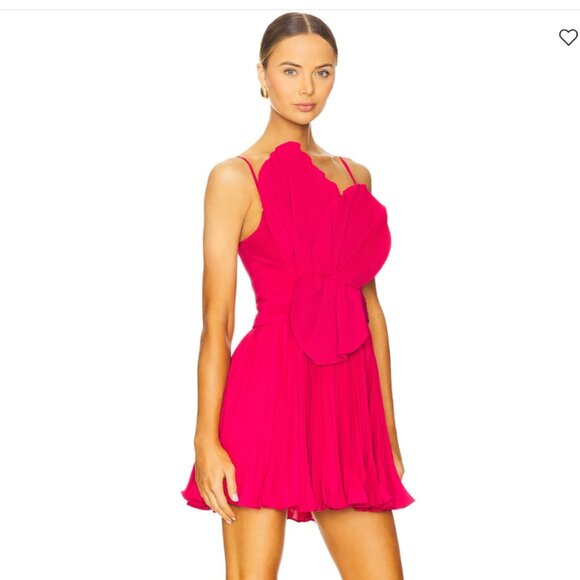 Brand New Acler Newtie Appliqué Mini Dress - Picture 3 of 8